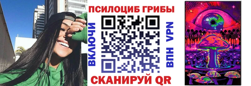 Псилоцибиновые грибы Psilocybe  Волгоград 