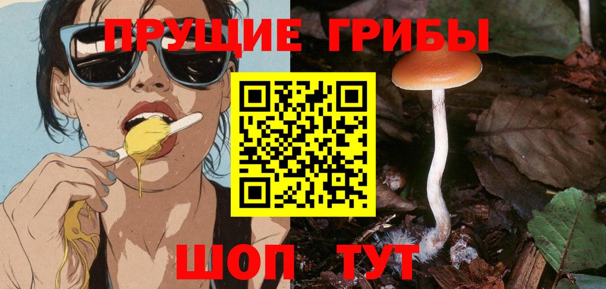 магазин продажи   Вход с VPN  Волгоград  Галлюциногенные грибы MAGIC MUSHROOMS 